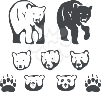 Set of bears for emblems and labels vector illustration