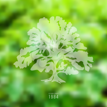 Oak illustration on blurred nature background Vector illustration