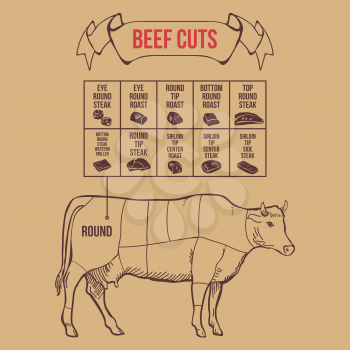 Vintage butcher cuts of beef scheme vector illustration