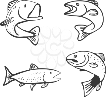  Set of Fish Isolated on White Background Vector Illustration