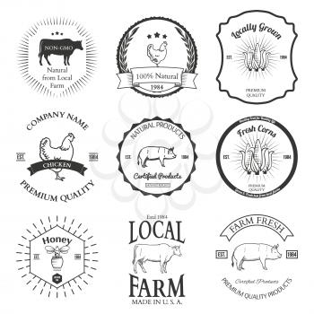 Set of agriculture vector label design elements Illustration