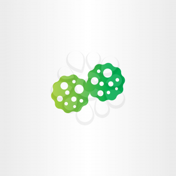 bacteria reproduction icon vector cell