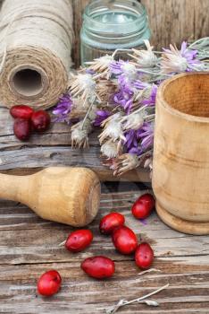 dogwood berries and flowers of Helichrysum on wooden pestle and whisk