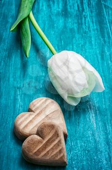 symbolic wooden heart on the background of one white tulip