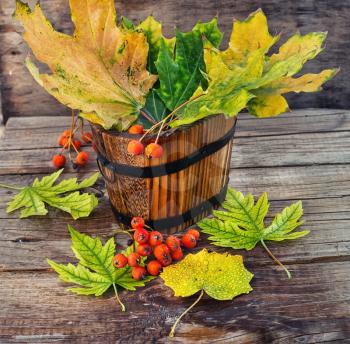 Wooden bucket with fallen autumn leaves on wooden background