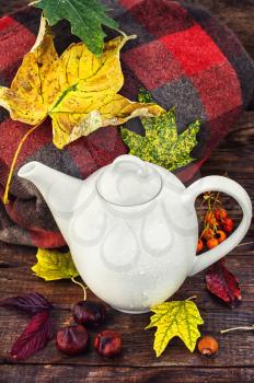 White teapot on background of warm blanket,strewn with autumn leaves
