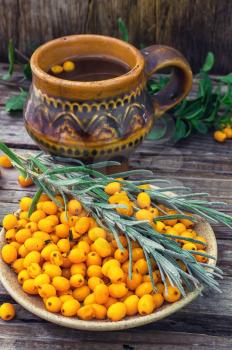 Still life with tea with fresh sea-buckthorn berries in rustic style.
