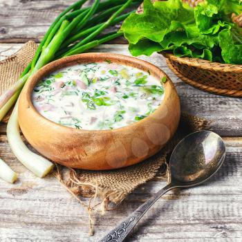 Okroshka,a cold summer soup of fresh vegetables,meat and yogurt