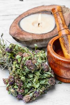 Medicinal plant clover and mortar with pestle