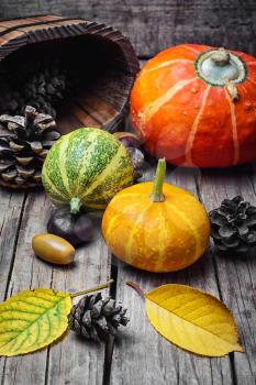 Autumn harvest pumpkin and fallen autumn leaves