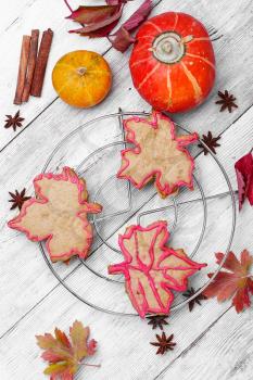 Cookies in shape of maple autumn leaf in autumn still life