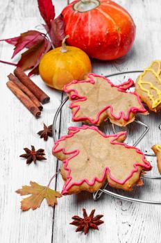 Cookies in the shape of maple autumn leaf in the autumn still life