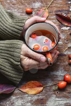 Cup of healing tea with autumn hips in his hands