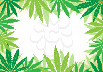 The green hemp, cannabis leaf white framework background