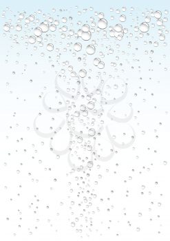 Water drops on white and blue background