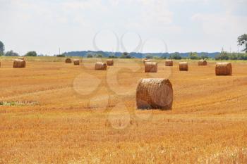 The haystacks on a slant sunny field