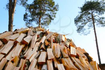 chopped pine firewood pile on blue sky and tree background