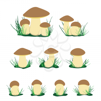 White cep mushroom illustration set. Cartoon brown cap boletus isolated on white background. Easy to edit
