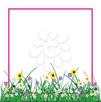 Wild flowers plant and grass with pink frame isolated on white background. Nature spring or summer abstract flora mockup. Chamomile cornflower violet snowdrop grow on natural agriculture backdrop
