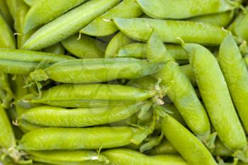 Green peas pods background. Vegetable diet plant. Vegan food ingredient