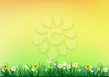 Grass and flowers on color spring or summer background. Beautiful nature meadow
