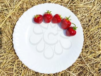 Strawberries on white plate hay and straw on background. Farm rural food