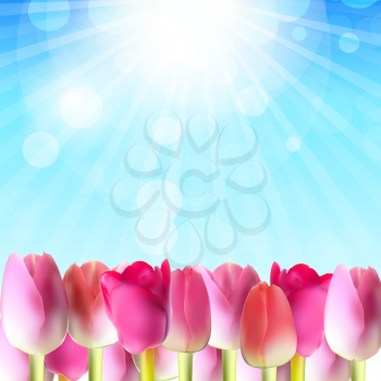 Beautiful Pink Tulips Against Shiny Sky Vector Illustration EPS10