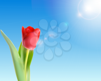 Beautiful Pink Tulips Against Shiny Sky Vector Illustration EPS10
