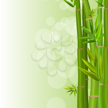Colorful Stems and Bamboo Leaves Background. Vector Illustration. EPS10
