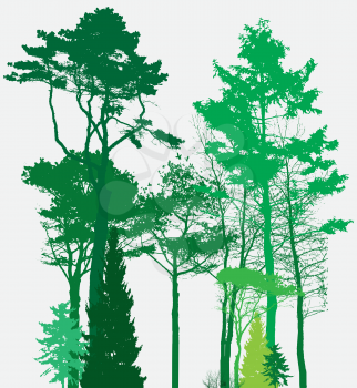 Image of Nature. Tree Silhouette. Eco banner. Vector Illustration EPS10
