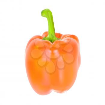 Colored Fresh Sweet Pepper Vector Isolated on White Background. EPS10