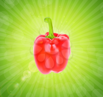 Colored Fresh Sweet Pepper Vector Isolated on White Background. EPS10