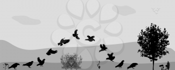 Birds Fly in Nature. Vector Illustration. EPS10