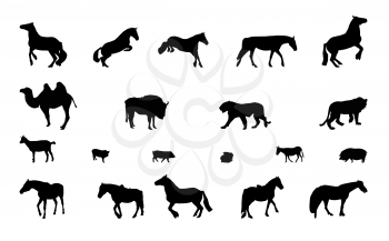 Silhouette of Wild and Domestic Animals. Black and White. Vector Illustration.