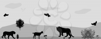 Wild Animals on the Prowl. Vector Illustration. EPS10