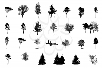 Set of Tree Silhouette Isolated on White Backgorund. Vecrtor Illustration