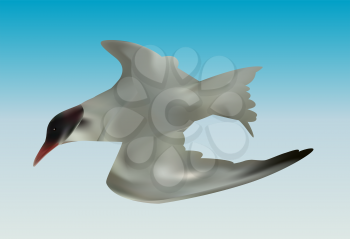 Seabird seagull. Isolated on White background. Vector Illustration. EPS10