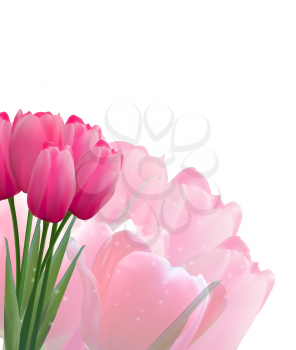 Floral background with Tulips Vector Illustration EPS10