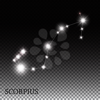Scorpius Zodiac Sign of the Beautiful Bright Stars Vector Illustration EPS10