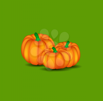 Orange Pumpkin on Green Background Vector Illustration. EPS10