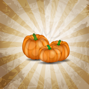 Orange Pumpkin on Background Vector Illustration. EPS10