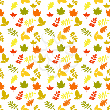 Naturalistic autumn leaves on White. Seamless pattern. Vector Illustration. EPS10