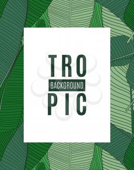 Beautifil Palm Tree Leaf Tropical Silhouette Background Vector Illustration EPS10
