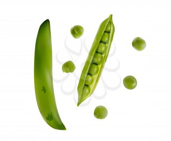 Colorful realistic 3D pod of ripe green peas isolated on white background. Vector Illustration. EPS10