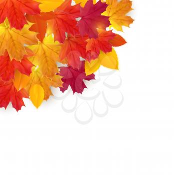 Shiny Autumn Natural Leaves Background. Vector Illustration EPS10
