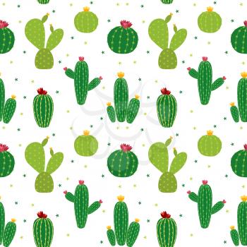 Cactus Icon Collection Seamless Pattern Background Vector Illustration EPS10