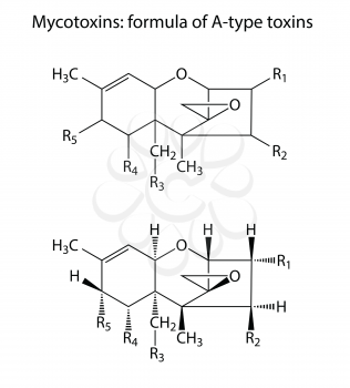 General structural chemical formulas of mycotoxins of A-type, 2d illustration,  isolated on white background, vector, eps 8