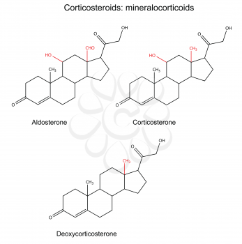 Structural chemical formulas of corticosteroids: aldosterone, corticosterone, deoxycorticosterone, 2D illustration, vector, isolated on white background