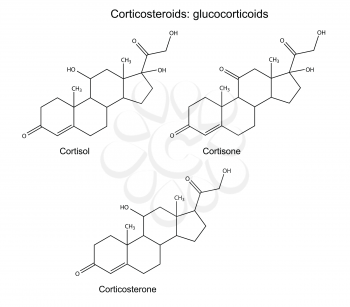 Structural chemical formulas of corticosteroids (glucocorticoids): cortisol, cortisone, corticosterone, 2D illustration, vector, isolated on white background