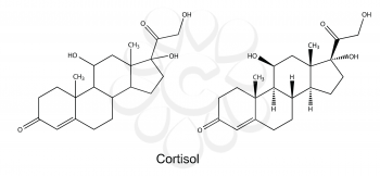 Structural chemical formulas of cortisol, 2D illustration, vector, isolated on white background